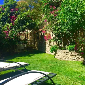 *** Bed & Breakfast Giardino Delle Zagare Italia